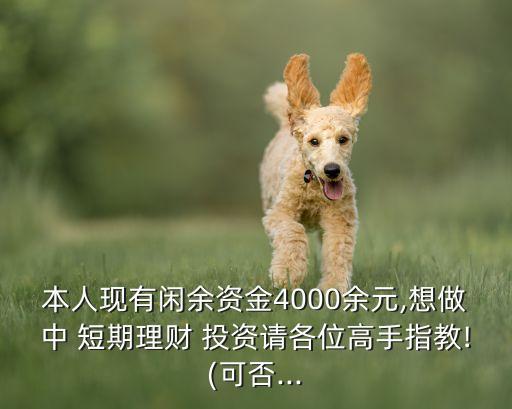 本人現(xiàn)有閑余資金4000余元,想做中 短期理財(cái) 投資請各位高手指教!(可否...