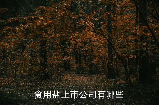 靈光能源投資有限公司,內蒙古能源發(fā)電投資集團有限公司