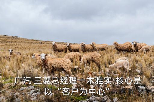 廣汽三菱汽車(chē)有限公司組織架構(gòu),長(zhǎng)沙廣汽三菱汽車(chē)有限公司詳細(xì)地址