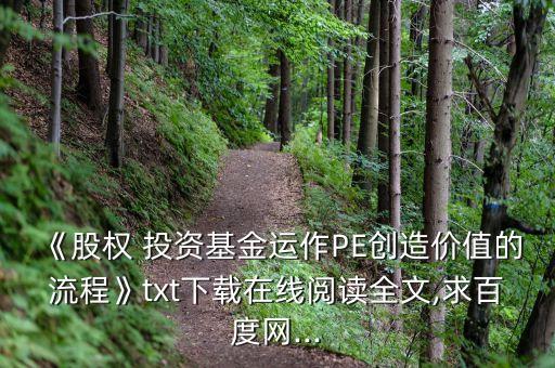 《股權(quán) 投資基金運作PE創(chuàng)造價值的流程》txt下載在線閱讀全文,求百度網(wǎng)...