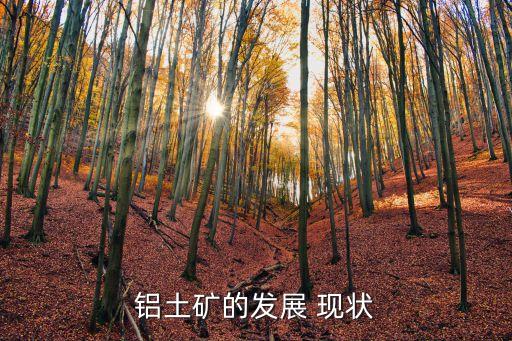 博賽集團先鋒氧化鋁公司現狀
