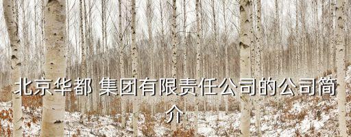 北京華都 集團(tuán)有限責(zé)任公司的公司簡介