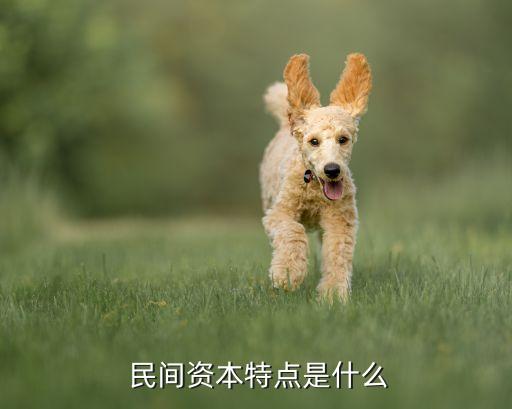 中國民間金融發(fā)展研究報(bào)告,中國綠色金融發(fā)展研究報(bào)告