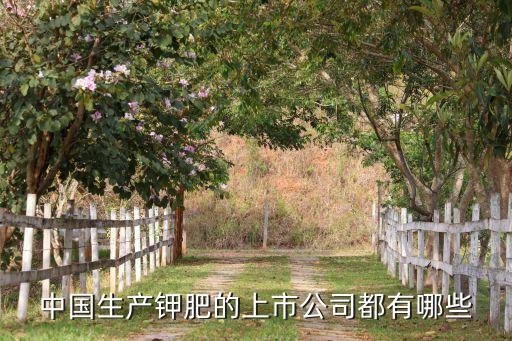 中國生產(chǎn)鉀肥的上市公司都有哪些