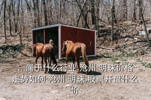 ...屬于什么行業(yè) 滄州 明珠價格走勢如何 滄州 明珠 股票開盤什么價