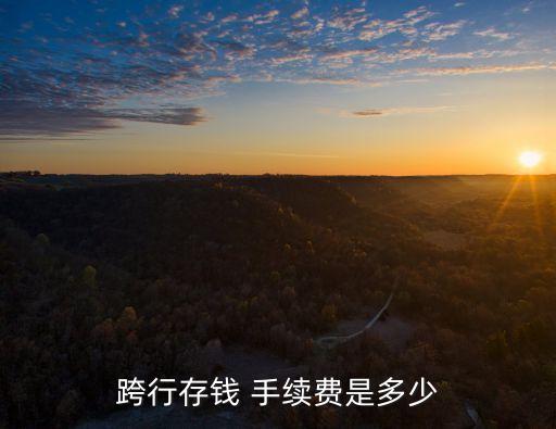 中國(guó)農(nóng)業(yè)銀行異地存取款手續(xù)費(fèi)