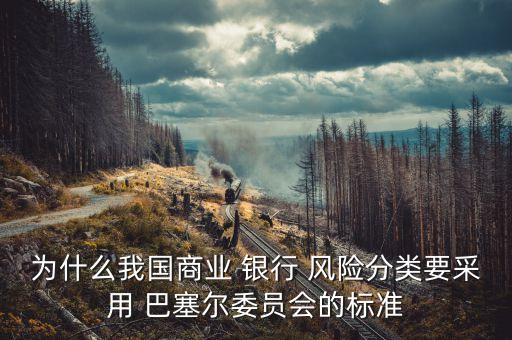 為什么我國商業(yè) 銀行 風(fēng)險分類要采用 巴塞爾委員會的標(biāo)準(zhǔn)