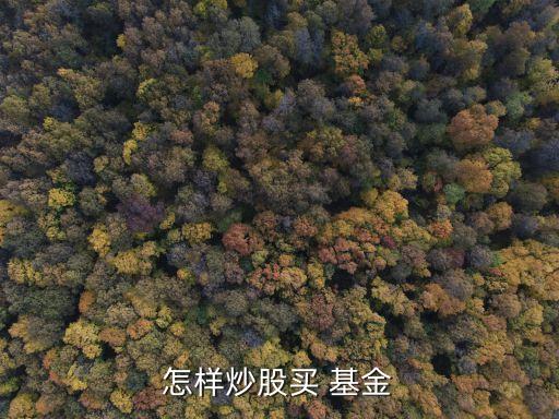 怎樣炒股買(mǎi) 基金