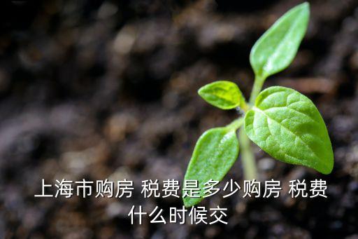  上海市購房 稅費(fèi)是多少購房 稅費(fèi)什么時候交
