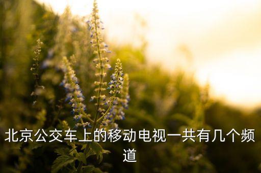 北京公交車(chē)上的移動(dòng)電視一共有幾個(gè)頻道