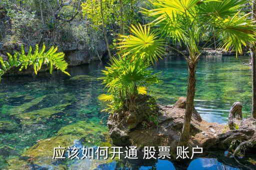 網(wǎng)上怎么開(kāi)股票賬戶,網(wǎng)上可以開(kāi)股票賬戶嗎