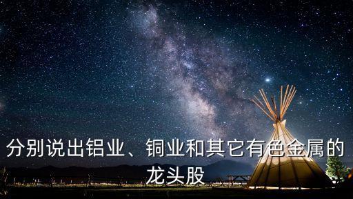 分別說(shuō)出鋁業(yè)、銅業(yè)和其它有色金屬的龍頭股
