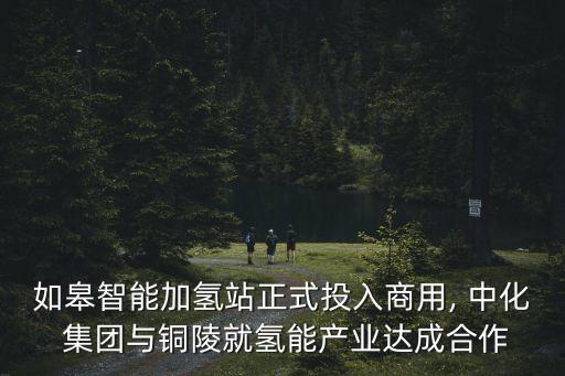 如皋智能加氫站正式投入商用, 中化 集團與銅陵就氫能產(chǎn)業(yè)達成合作