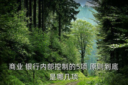 商業(yè) 銀行內部控制的5項 原則到底是哪幾項