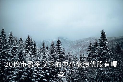 20倍市盈率以下的中小盤(pán)績(jī)優(yōu)股有哪些