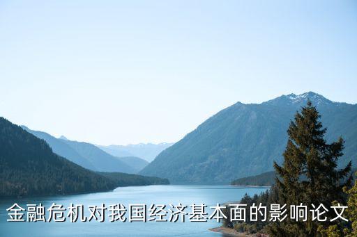金融危機(jī)對(duì)我國經(jīng)濟(jì)基本面的影響論文