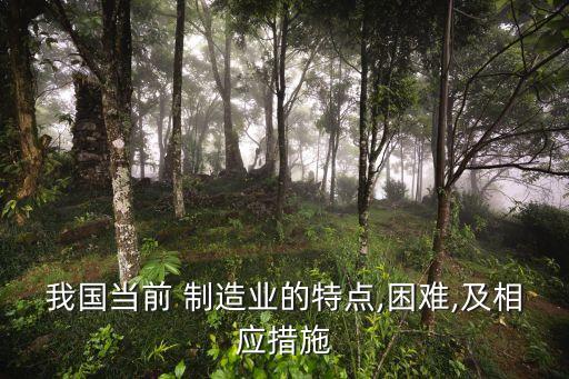我國(guó)當(dāng)前 制造業(yè)的特點(diǎn),困難,及相應(yīng)措施