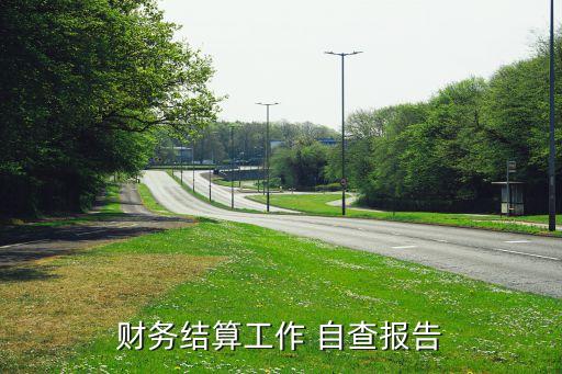 財務結算工作 自查報告