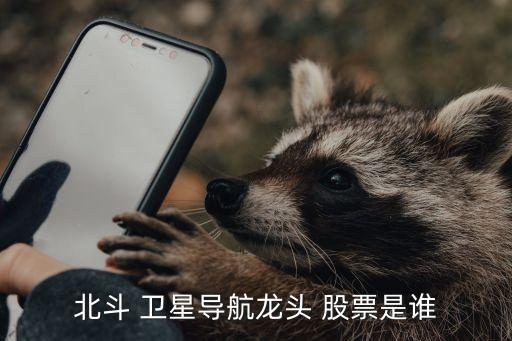 北斗 衛(wèi)星導航龍頭 股票是誰