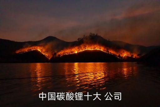 中國碳酸鋰十大 公司
