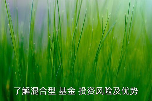 了解混合型 基金 投資風(fēng)險(xiǎn)及優(yōu)勢