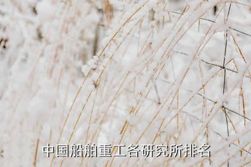 中國船舶重工各研究所排名