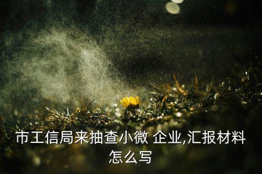 市工信局來(lái)抽查小微 企業(yè),匯報(bào)材料怎么寫