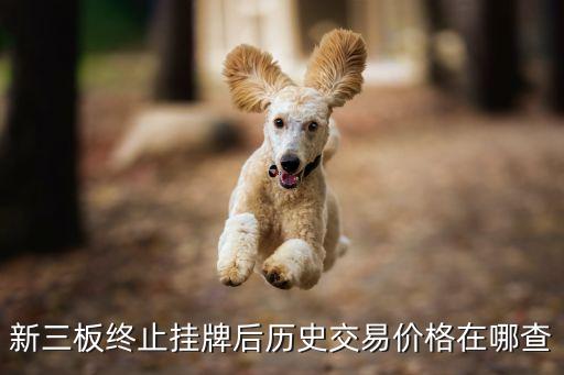 新三板終止掛牌后歷史交易價格在哪查