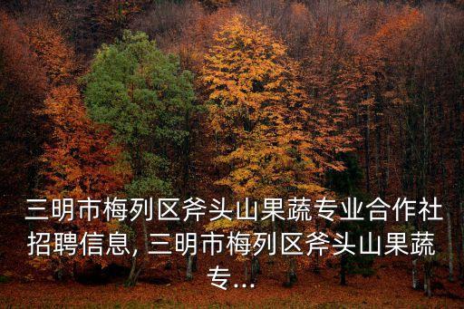 福建三明齒輪箱有責任有限公司,重慶齒輪箱責任有限公司