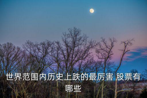 世界范圍內(nèi)歷史上跌的最厲害 股票有哪些