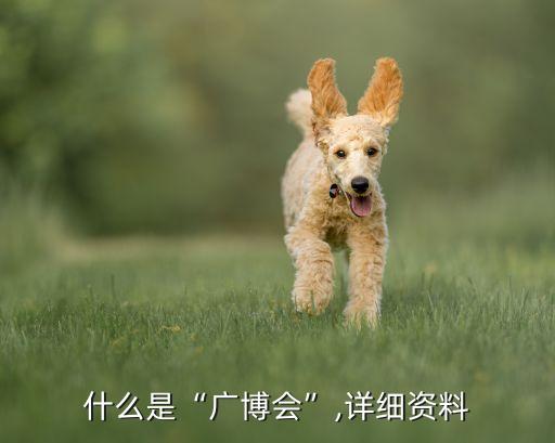 什么是“廣博會”,詳細(xì)資料