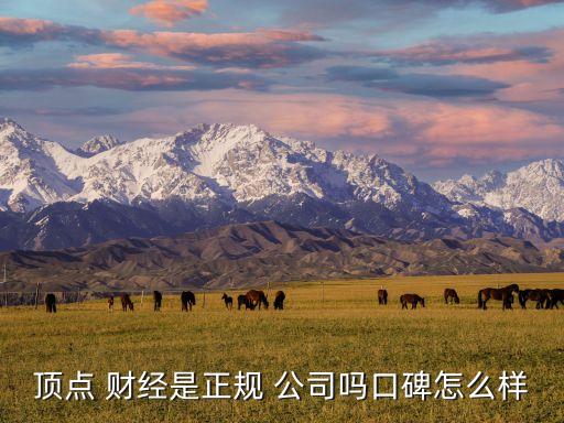 頂點(diǎn) 財(cái)經(jīng)是正規(guī) 公司嗎口碑怎么樣