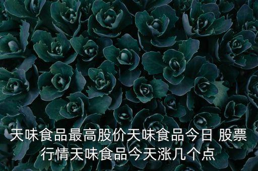 天味食品最高股價(jià)天味食品今日 股票行情天味食品今天漲幾個(gè)點(diǎn)