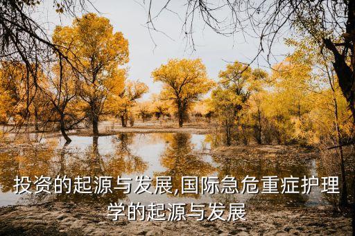 國際投資的起源與發(fā)展,國際急危重癥護理學的起源與發(fā)展