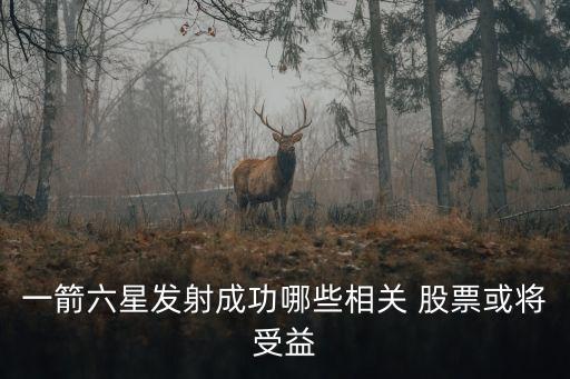 一箭六星發(fā)射成功哪些相關 股票或將受益