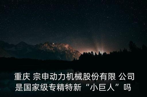  重慶 宗申動(dòng)力機(jī)械股份有限 公司是國(guó)家級(jí)專精特新“小巨人”嗎