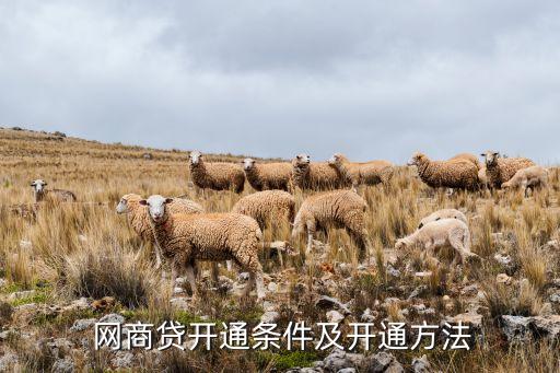  網(wǎng)商貸開(kāi)通條件及開(kāi)通方法