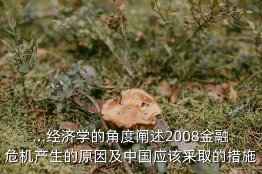...經(jīng)濟學(xué)的角度闡述2008金融危機產(chǎn)生的原因及中國應(yīng)該采取的措施