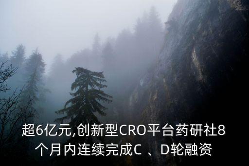 超6億元,創(chuàng)新型CRO平臺藥研社8個月內(nèi)連續(xù)完成C 、D輪融資