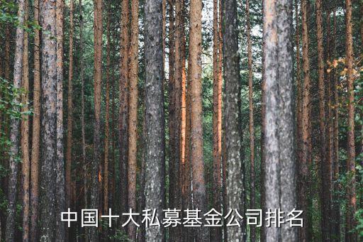 中國(guó)十大私募基金公司排名