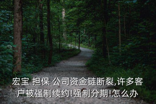 宏寶 擔保 公司資金鏈斷裂,許多客戶被強制續(xù)約!強制分期!怎么辦