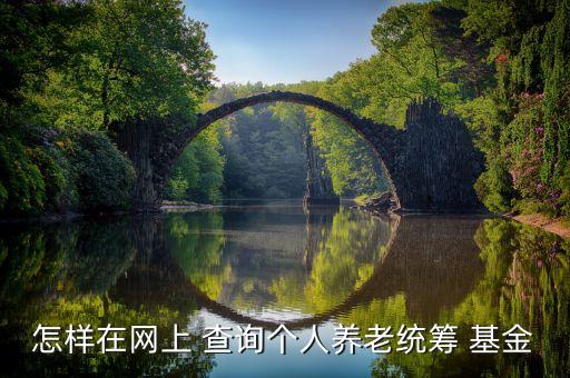 怎樣在網上 查詢個人養(yǎng)老統(tǒng)籌 基金