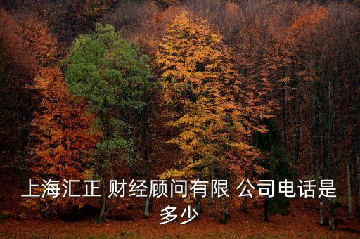 財經(jīng)公司,第一財經(jīng)公司