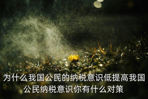 為什么我國(guó)公民的納稅意識(shí)低提高我國(guó)公民納稅意識(shí)你有什么對(duì)策