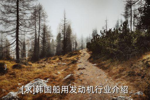 [求]韓國船用發(fā)動(dòng)機(jī)行業(yè)介紹