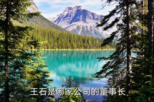 萬科集團王石滑雪,原萬科集團創(chuàng)始人王石