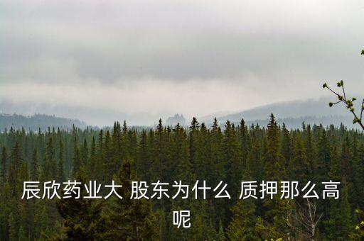 辰欣藥業(yè)大 股東為什么 質(zhì)押那么高呢
