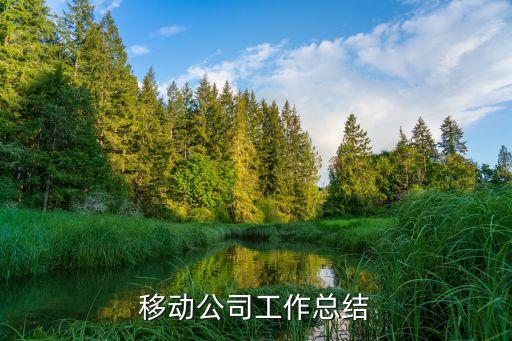 移動公司工作總結