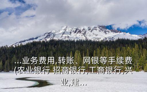 ...業(yè)務(wù)費(fèi)用,轉(zhuǎn)賬、網(wǎng)銀等手續(xù)費(fèi)(農(nóng)業(yè)銀行 招商銀行,工商銀行,興業(yè),建...