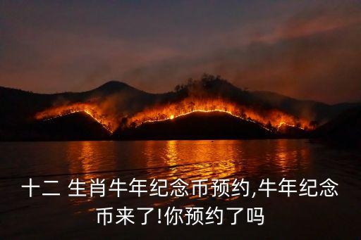 十二 生肖牛年紀(jì)念幣預(yù)約,牛年紀(jì)念幣來(lái)了!你預(yù)約了嗎